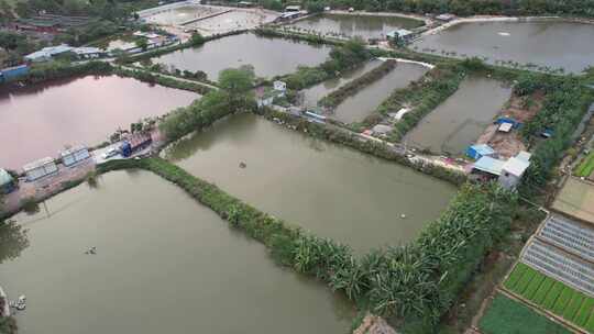 广东农业基地航拍