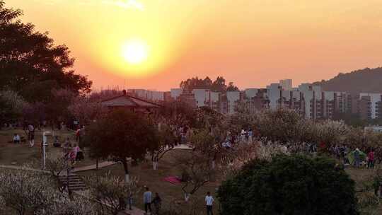 中国广东省广州市黄埔区市民广场梅花