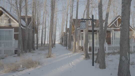 木屋冬季雪景外观