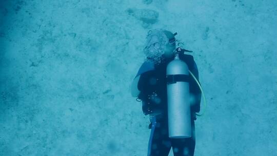 潜水员在水下视频素材模板下载