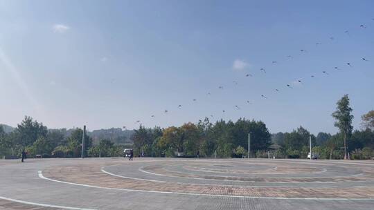 城市广场放放风筝的人变焦天上风筝视频素材模板下载