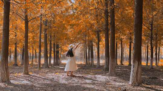 自然唯美女孩在森林树林黄叶中翩翩起舞