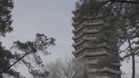 北京大学-博雅塔