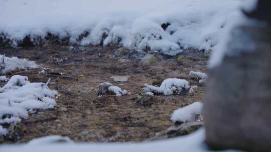 白云石，雪，冰冻，寒冷