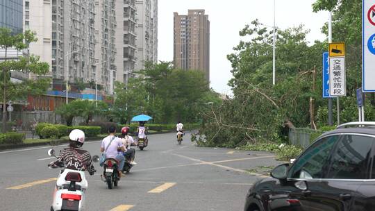 山竹 台风 台风山竹 中国沿海 沿海城市