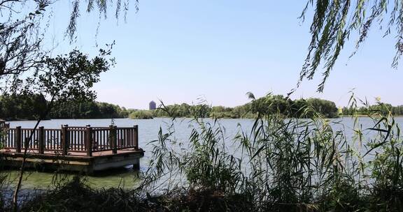 苏州镇湖太湖湿地公园美丽风景