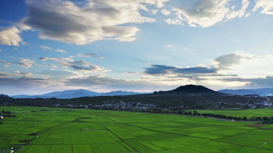 日落时火山底下的绿色稻田