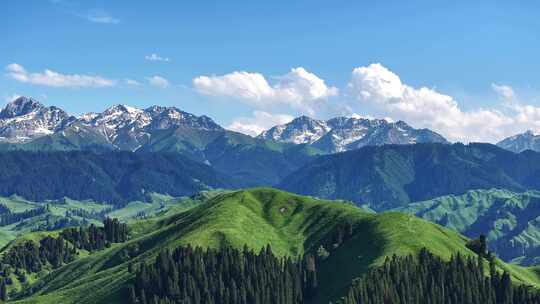 新疆恰西唯美震撼森林雪山航拍12
