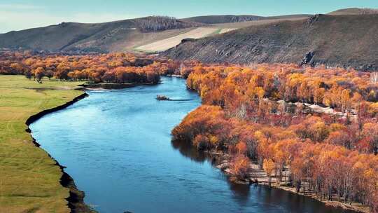 秋季河流森林自然风光