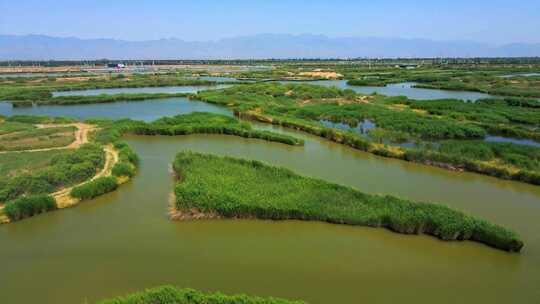 航拍生态环境芦苇荡湿地湖泊视频素材模板下载