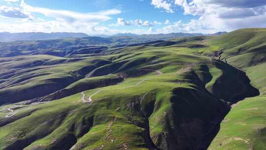 新疆绿色草原