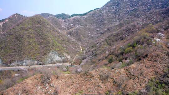 航拍北京春天山区盛开的山杏花