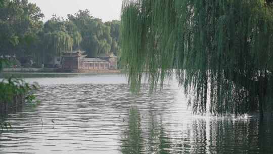 山东济南大明湖风光