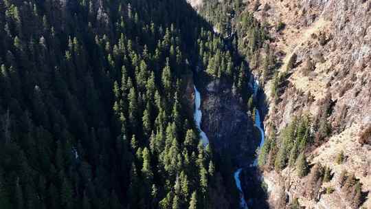 航拍川西四姑娘山双桥沟景区森林冰瀑景观