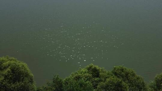 河水湖水水波光