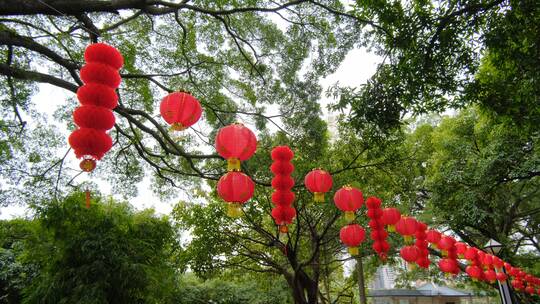 春节红灯笼祈福许愿树