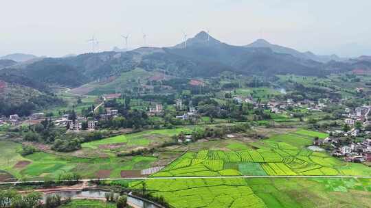 美丽乡村油菜花航拍