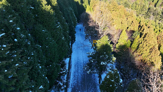 航拍冬天森林积雪山路上行走的人