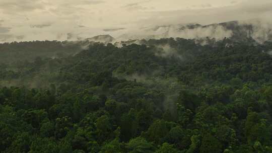 云南仙境云雾缭绕原始森林航拍旅游视频素材模板下载