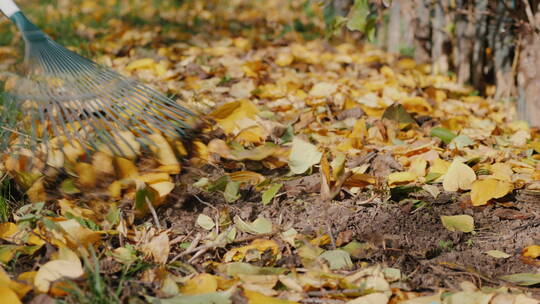 耙子打扫落在花园里的落叶