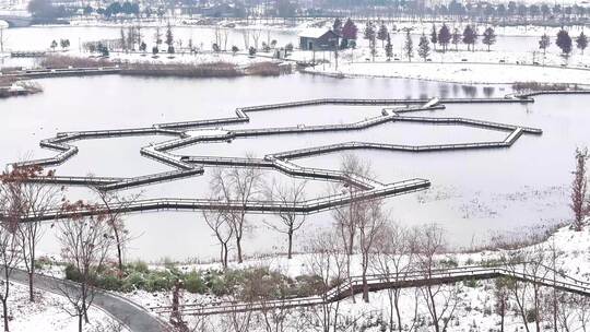 航拍湿地公园雪景树林湖岛