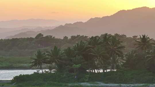 海滩半岛热带棕榈树周围的空中视差，带有灌