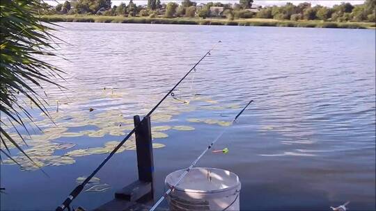 高清实拍湖边钓鱼