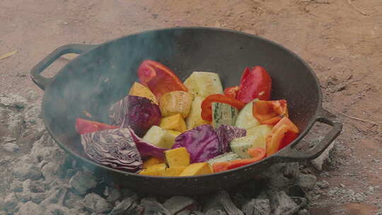 野营时烹饪以蔬菜为主的素食午餐。巴拉圭查