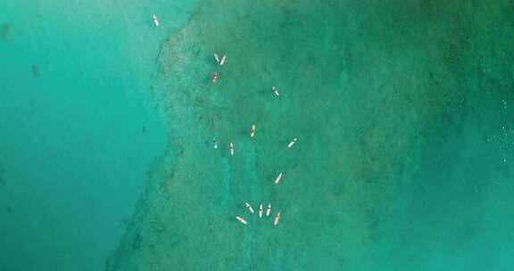 冲浪，冲浪板，海洋，海滩