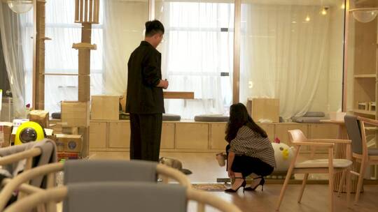 喵星人撸猫爱猫人士猫咪可爱猫咪