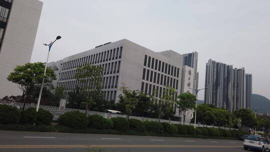 西丽大学城 南方科技大学