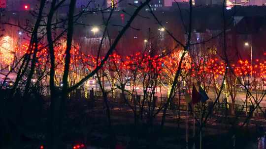 城市夜景红灯笼树风景4K视频素材