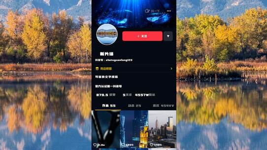 抖音作品关注界面AE模板