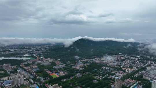 航拍南京紫金山云海风光