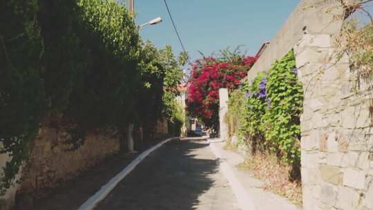 墙上爬行植物的未铺砌道路