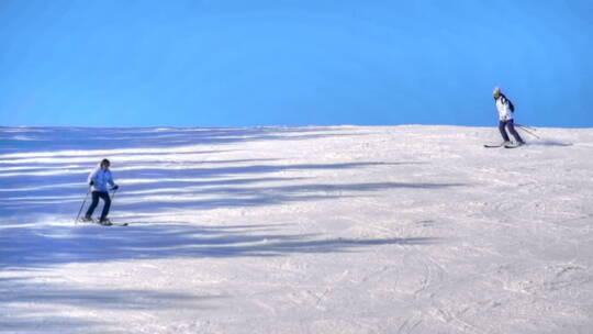 在冬天的雪地里有两名人在用滑雪板滑雪