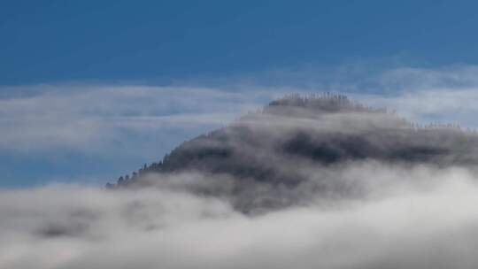 拨开云雾见青山森林迷雾云雾雾气自然景观