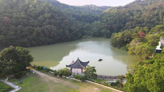 实拍平静的湖中鸽子飞过 航拍自然优美风景