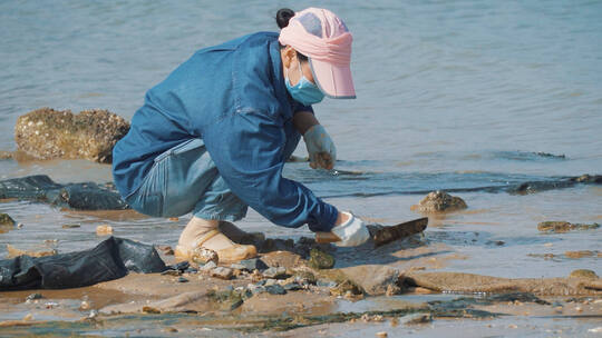 海边赶海的人挖花蛤