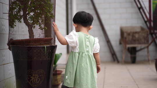 小孩触摸盆栽绿植背影