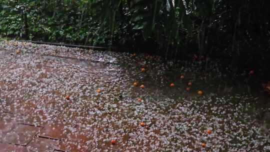 下冰雹恶劣天气