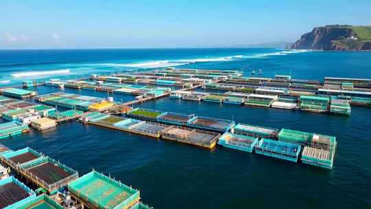 海上渔业养殖俯瞰全景