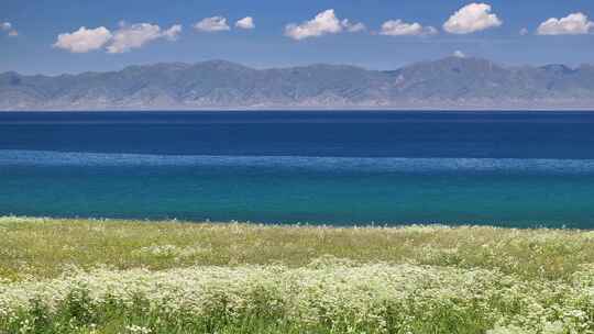 新疆赛里木湖草原湿地自然风光航拍