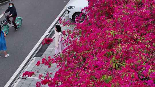 中国广东省佛山市华师附中南海实验高级中学风景