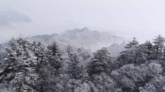 南太行伏牛山雪景雾凇云海自然风光