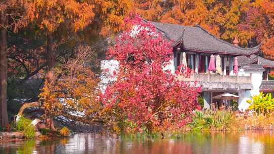 杭州西湖秋天建筑风景