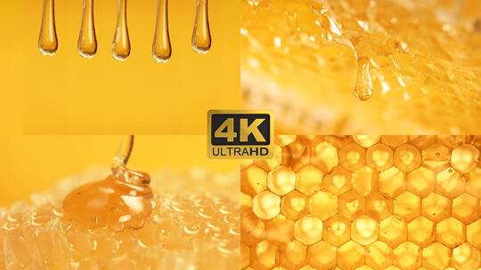 蜂蜜蜂巢蜂王浆糖浆拉丝蜜蜂广告视频素材模板下载