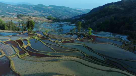 云南元阳梯田