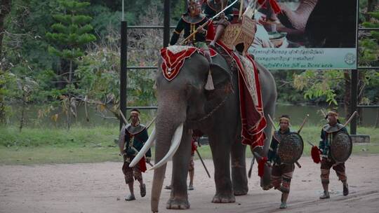 泰国旅游视频泰国大象园大象表演