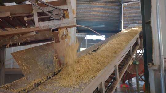 中药材生产加工流水线 太子参生产加工车间